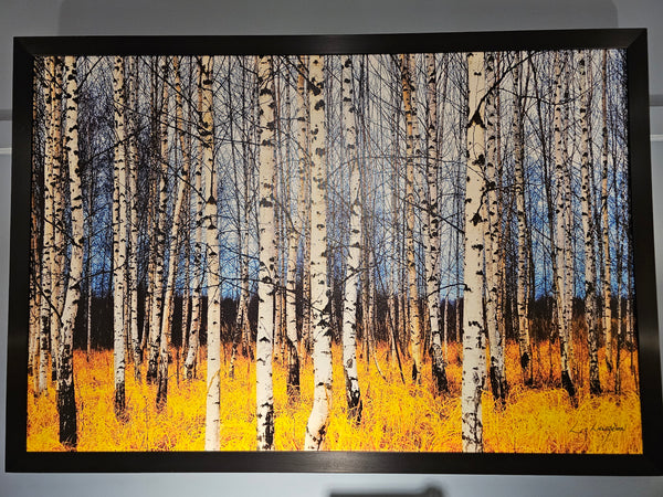 "Blue White Gold" by Liz Langdon