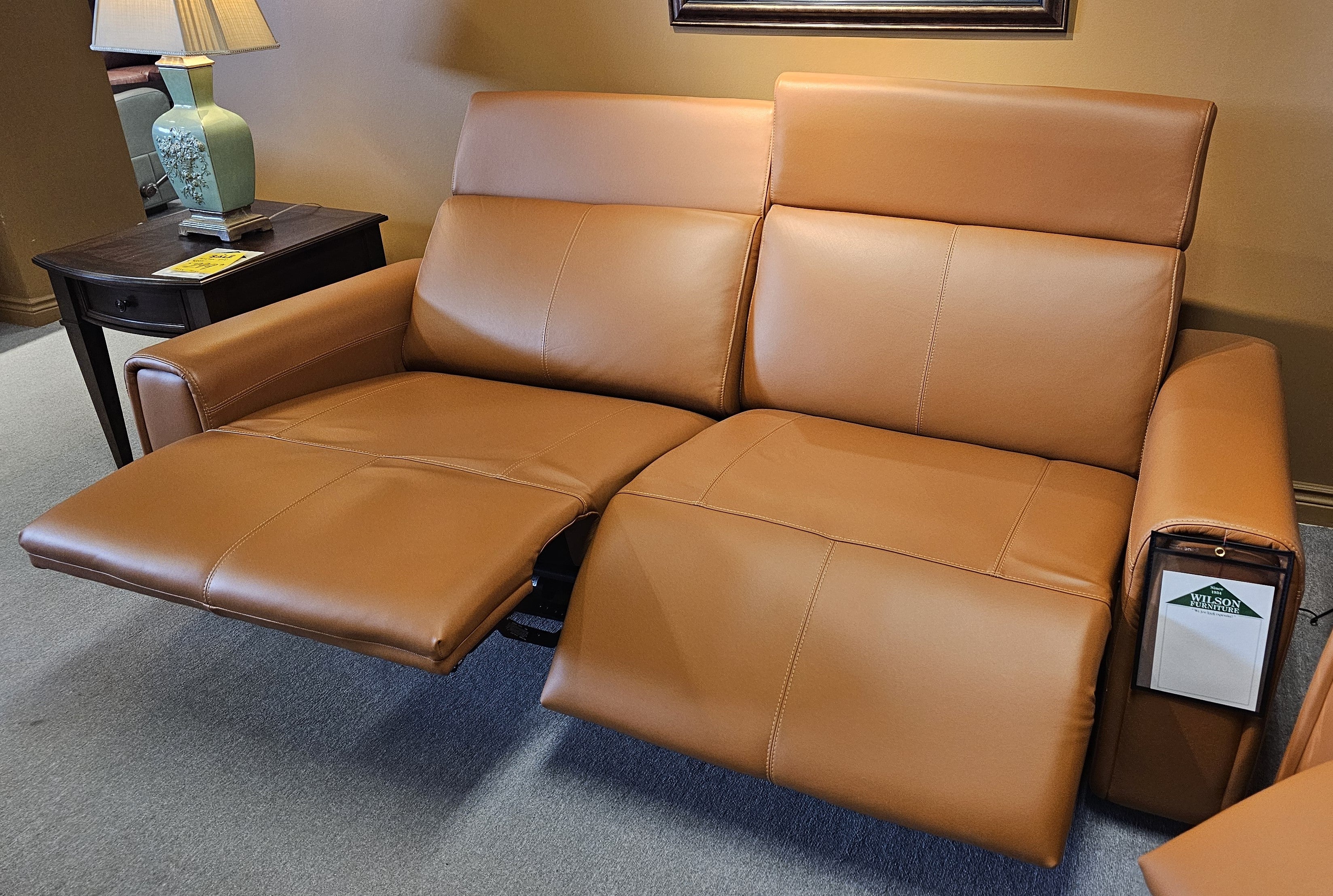 Elran Nya Reclining Sofa Collection – Wilson Furniture Oshawa