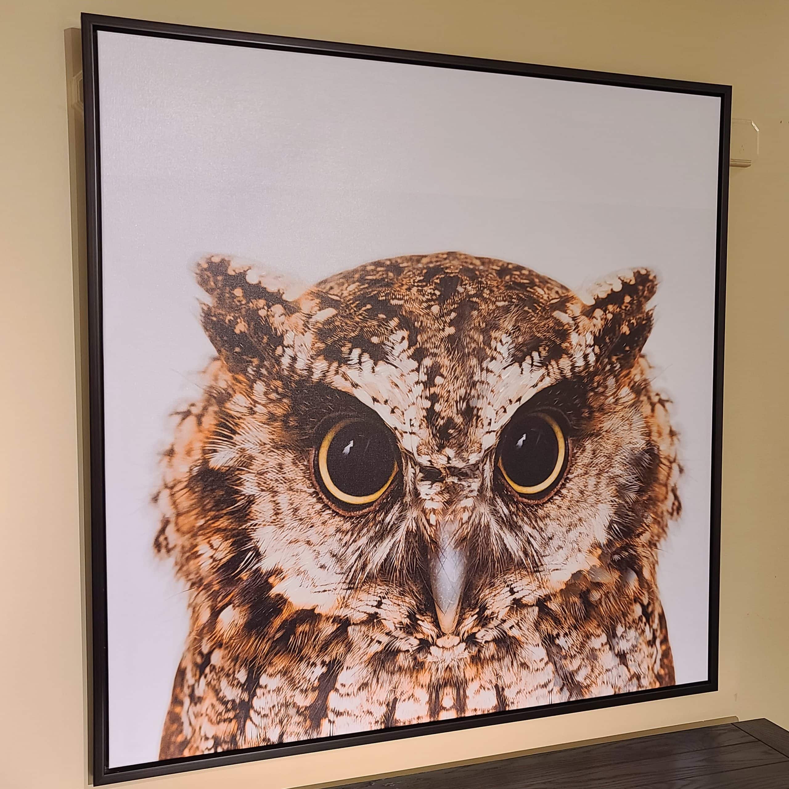 Owl-Who!